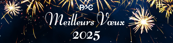 Meilleurs Voeux 2025